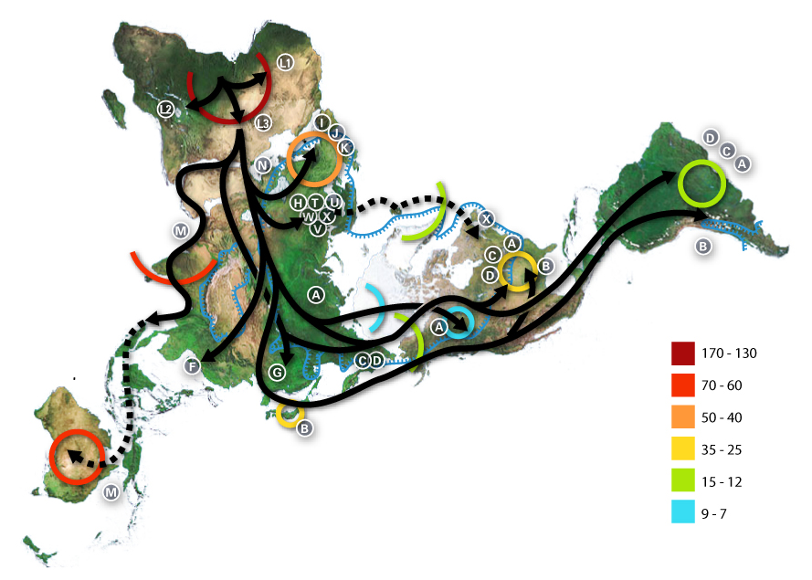 Early human migration from Africa