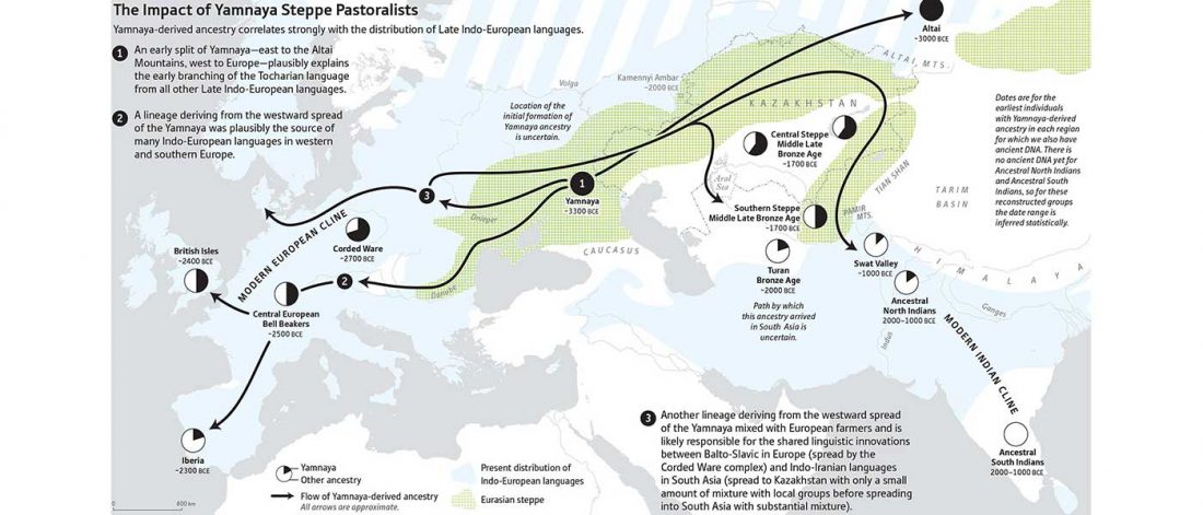 Yamnaya ancestry migrations